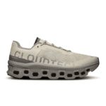 On Running Cloudmonster Ice/Alloy